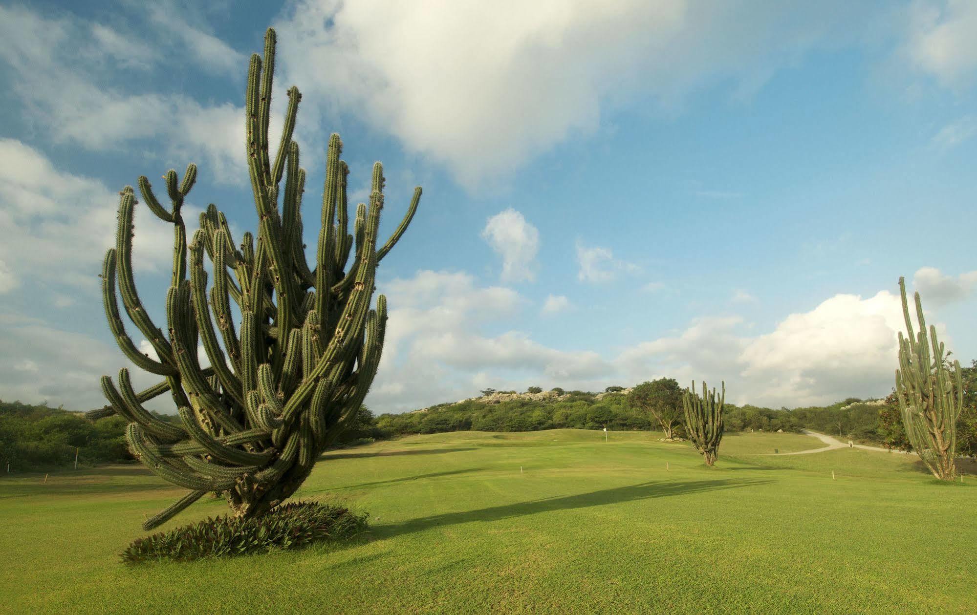 Bayside Boutique Hotel - Blue Bay Golf & Beach Resort Dorp Dorp Sint Michiel 외부 사진